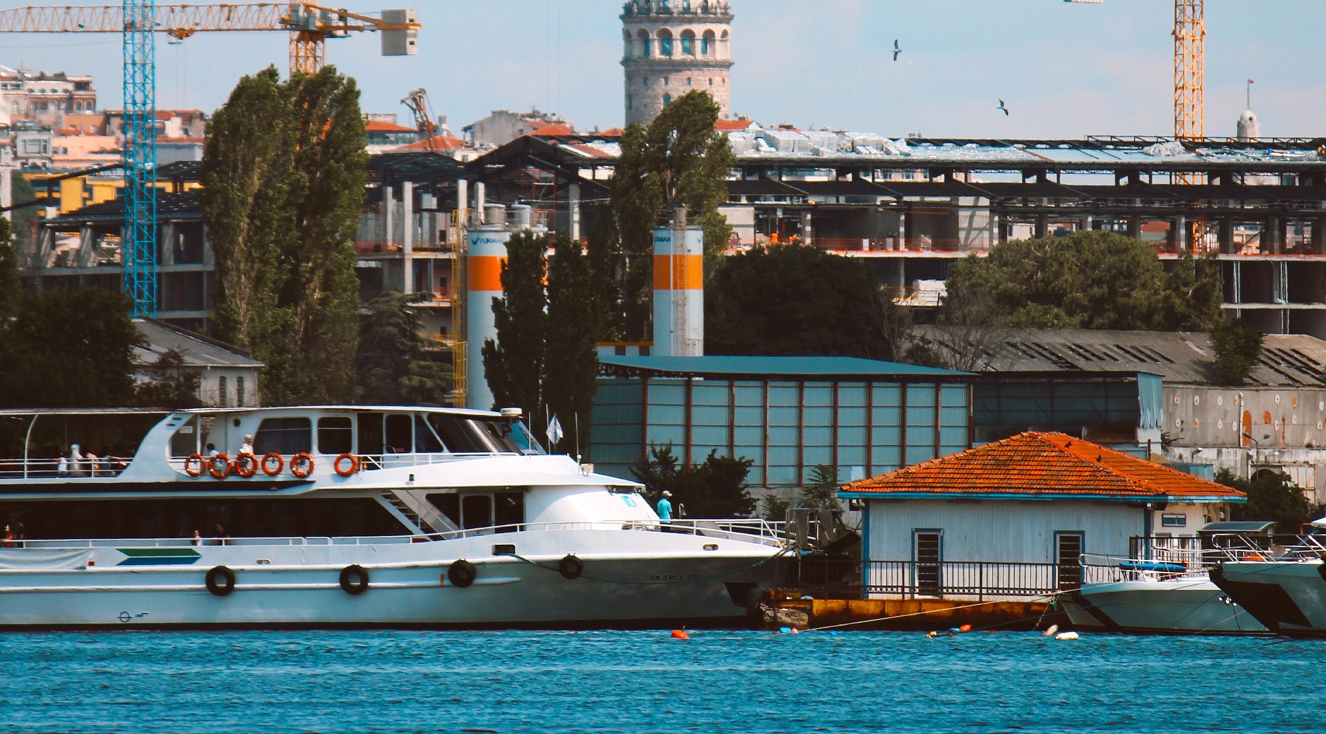 1681280565.jpg 未标题-1.jpg